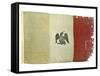 Mexican Flag from Statehouse in Victoria; National Museum of American History: Mexican Revolution-null-Framed Stretched Canvas