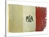Mexican Flag from Statehouse in Victoria; National Museum of American History: Mexican Revolution-null-Stretched Canvas