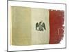 Mexican Flag from Statehouse in Victoria; National Museum of American History: Mexican Revolution-null-Mounted Premium Photographic Print