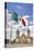 Mexican Flag, Plaza of the Constitution (Zocalo), Metropolitan Cathedral in Background-Richard Maschmeyer-Stretched Canvas