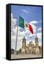 Mexican Flag, Plaza of the Constitution (Zocalo), Metropolitan Cathedral in Background-Richard Maschmeyer-Framed Stretched Canvas