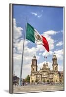 Mexican Flag, Plaza of the Constitution (Zocalo), Metropolitan Cathedral in Background-Richard Maschmeyer-Framed Photographic Print