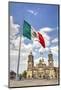 Mexican Flag, Plaza of the Constitution (Zocalo), Metropolitan Cathedral in Background-Richard Maschmeyer-Mounted Photographic Print