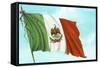 Mexican Flag-null-Framed Stretched Canvas