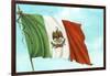 Mexican Flag-null-Framed Art Print