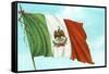 Mexican Flag-null-Framed Stretched Canvas