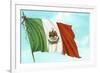 Mexican Flag-null-Framed Art Print