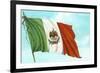 Mexican Flag-null-Framed Art Print