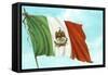 Mexican Flag-null-Framed Stretched Canvas