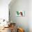 Mexican Flag-null-Stretched Canvas displayed on a wall