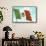 Mexican Flag-null-Framed Stretched Canvas displayed on a wall