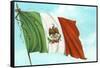 Mexican Flag-null-Framed Stretched Canvas