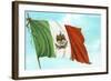 Mexican Flag-null-Framed Art Print