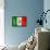 Mexican Flag-daboost-Framed Stretched Canvas displayed on a wall