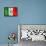 Mexican Flag-daboost-Framed Stretched Canvas displayed on a wall