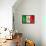 Mexican Flag-daboost-Framed Stretched Canvas displayed on a wall