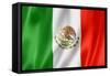 Mexican Flag-daboost-Framed Stretched Canvas