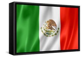 Mexican Flag-daboost-Framed Stretched Canvas