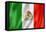 Mexican Flag-daboost-Framed Stretched Canvas