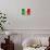 Mexican Flag-daboost-Stretched Canvas displayed on a wall