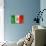 Mexican Flag-daboost-Stretched Canvas displayed on a wall