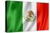 Mexican Flag-daboost-Stretched Canvas