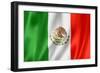 Mexican Flag-daboost-Framed Premium Giclee Print