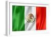 Mexican Flag-daboost-Framed Premium Giclee Print