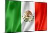 Mexican Flag-daboost-Mounted Premium Giclee Print