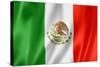 Mexican Flag-daboost-Stretched Canvas