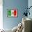 Mexican Flag-daboost-Framed Art Print displayed on a wall