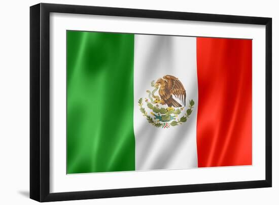 Mexican Flag-daboost-Framed Art Print