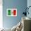 Mexican Flag-daboost-Framed Art Print displayed on a wall