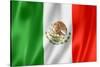 Mexican Flag-daboost-Stretched Canvas