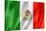 Mexican Flag-daboost-Stretched Canvas