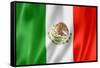 Mexican Flag-daboost-Framed Stretched Canvas