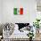 Mexican Flag-daboost-Art Print displayed on a wall