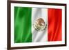 Mexican Flag-daboost-Framed Art Print