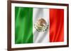 Mexican Flag-daboost-Framed Art Print