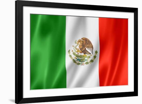 Mexican Flag-daboost-Framed Art Print