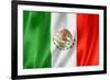 Mexican Flag-daboost-Framed Art Print