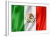 Mexican Flag-daboost-Framed Art Print