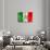 Mexican Flag-daboost-Art Print displayed on a wall