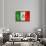 Mexican Flag-daboost-Framed Art Print displayed on a wall