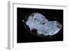 Mexican Free-Tailed Bats (Tadarida Brasiliensis)-Philip Dalton-Framed Photographic Print