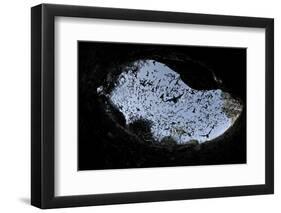 Mexican Free-Tailed Bats (Tadarida Brasiliensis)-Philip Dalton-Framed Photographic Print