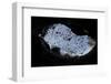 Mexican Free-Tailed Bats (Tadarida Brasiliensis)-Philip Dalton-Framed Photographic Print