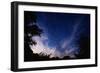 Mexican Freetail Bats near Bracken Cave-W. Perry Conway-Framed Photographic Print