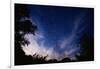 Mexican Freetail Bats near Bracken Cave-W. Perry Conway-Framed Photographic Print