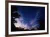 Mexican Freetail Bats near Bracken Cave-W. Perry Conway-Framed Photographic Print
